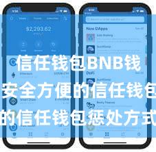 信任钱包BNB钱包下载 安全方便的信任钱包惩处方式